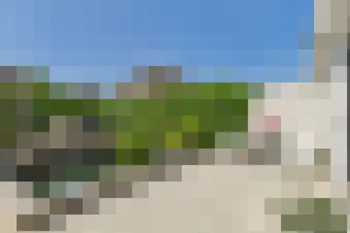 Vlinderlaan 24 Terneuzen thumbnail 38