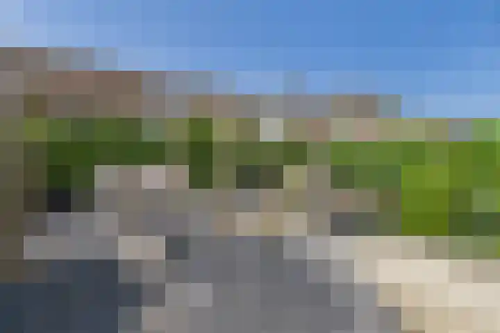 Vlinderlaan 24 Terneuzen thumbnail 41