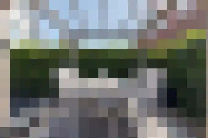 Vlinderlaan 24 Terneuzen thumbnail 42