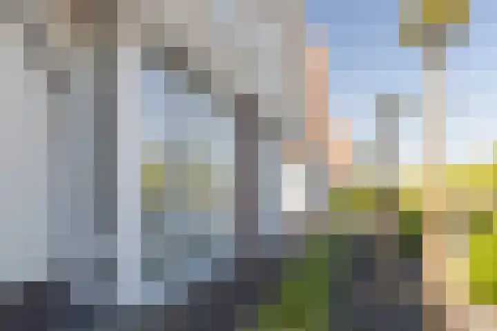 Vlinderlaan 24 Terneuzen thumbnail 43