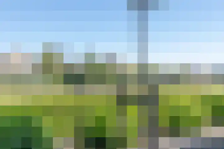 Vlinderlaan 24 Terneuzen thumbnail 45