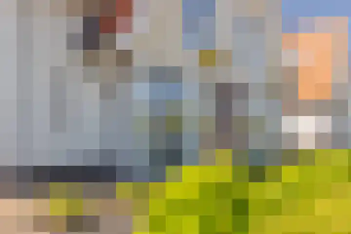 Vlinderlaan 24 Terneuzen thumbnail 7