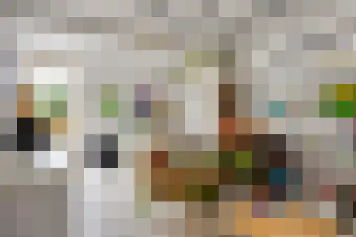 Vlinderlaan 39 Oosterhout thumbnail 18