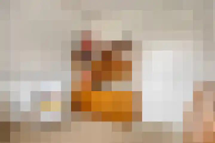 Vlinderlaan 39 Oosterhout thumbnail 27