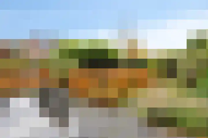 Vlinderlaan 39 Oosterhout thumbnail 39