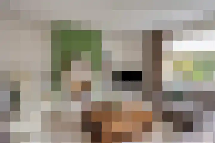 Vlinderlaan 39 Oosterhout thumbnail 4