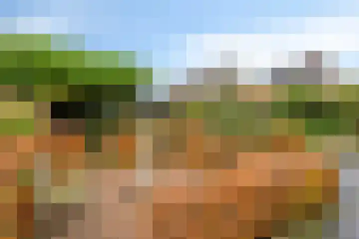 Vlinderlaan 39 Oosterhout thumbnail 40