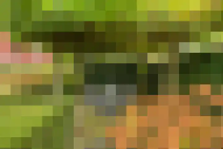 Vlinderlaan 39 Oosterhout thumbnail 41