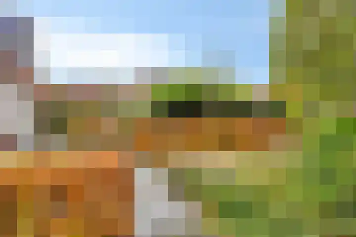 Vlinderlaan 39 Oosterhout thumbnail 42