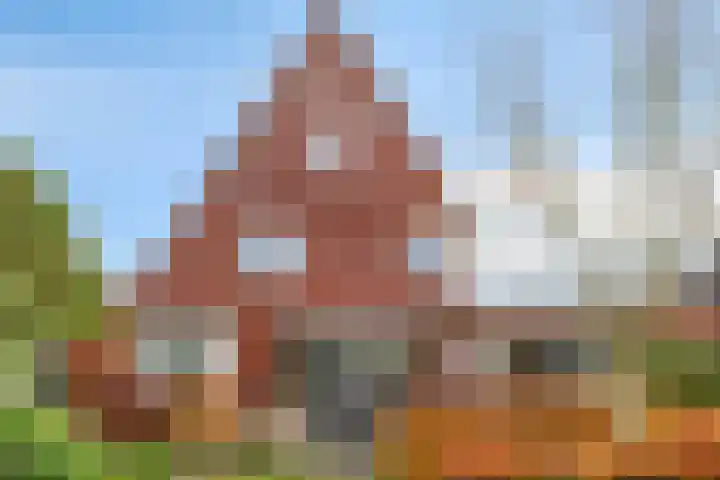 Vlinderlaan 39 Oosterhout thumbnail 43