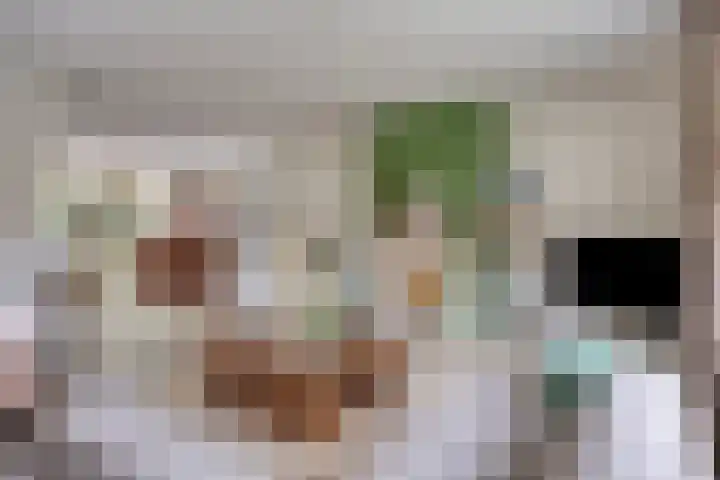 Vlinderlaan 39 Oosterhout thumbnail 5