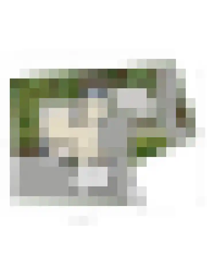 Vlinderlaan 39 Oosterhout thumbnail 54