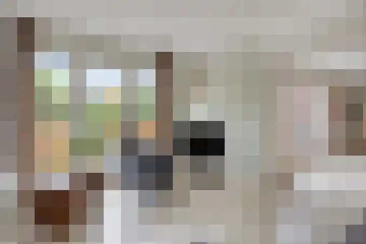 Vlinderlaan 39 Oosterhout thumbnail 9