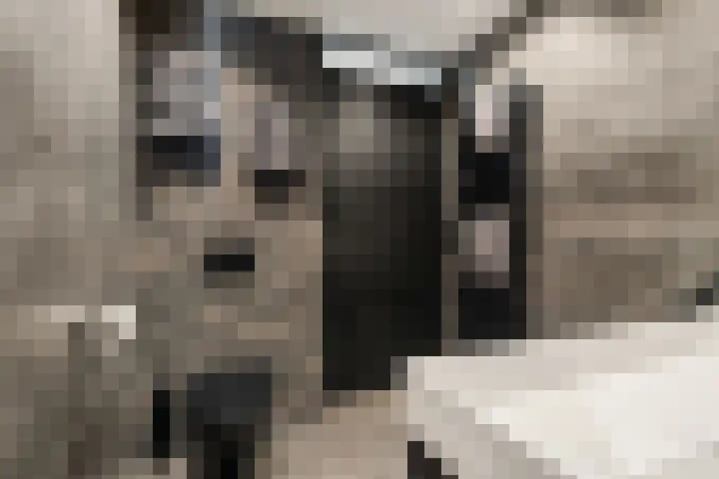 Vlinderlaan 43 Nijkerk thumbnail 26