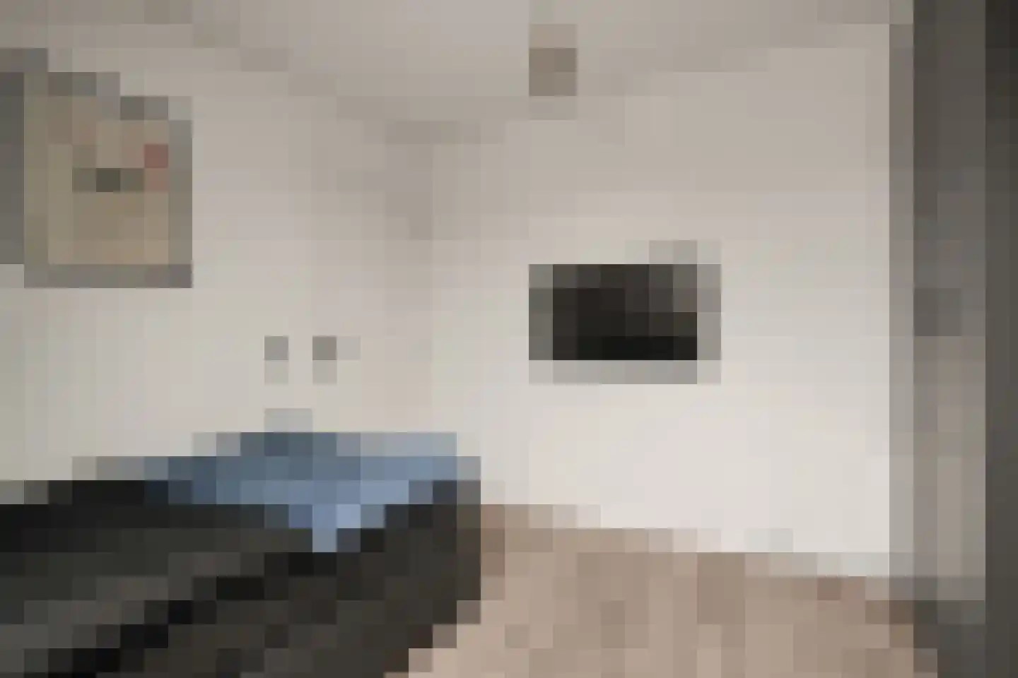 Vlinderlaan 43 Nijkerk thumbnail 32