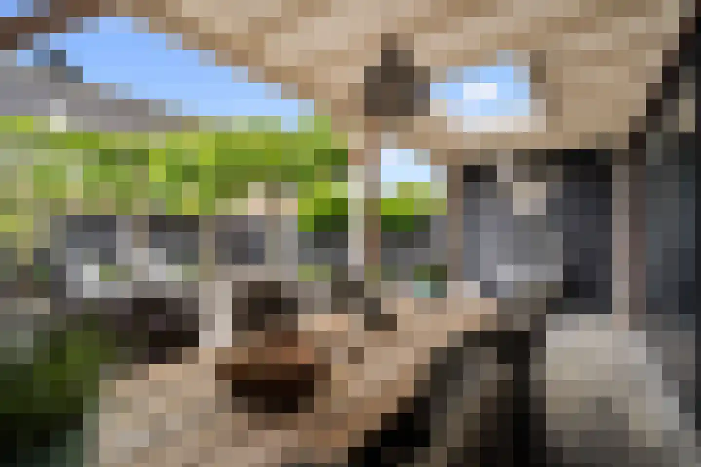 Vlinderlaan 43 Nijkerk thumbnail 39