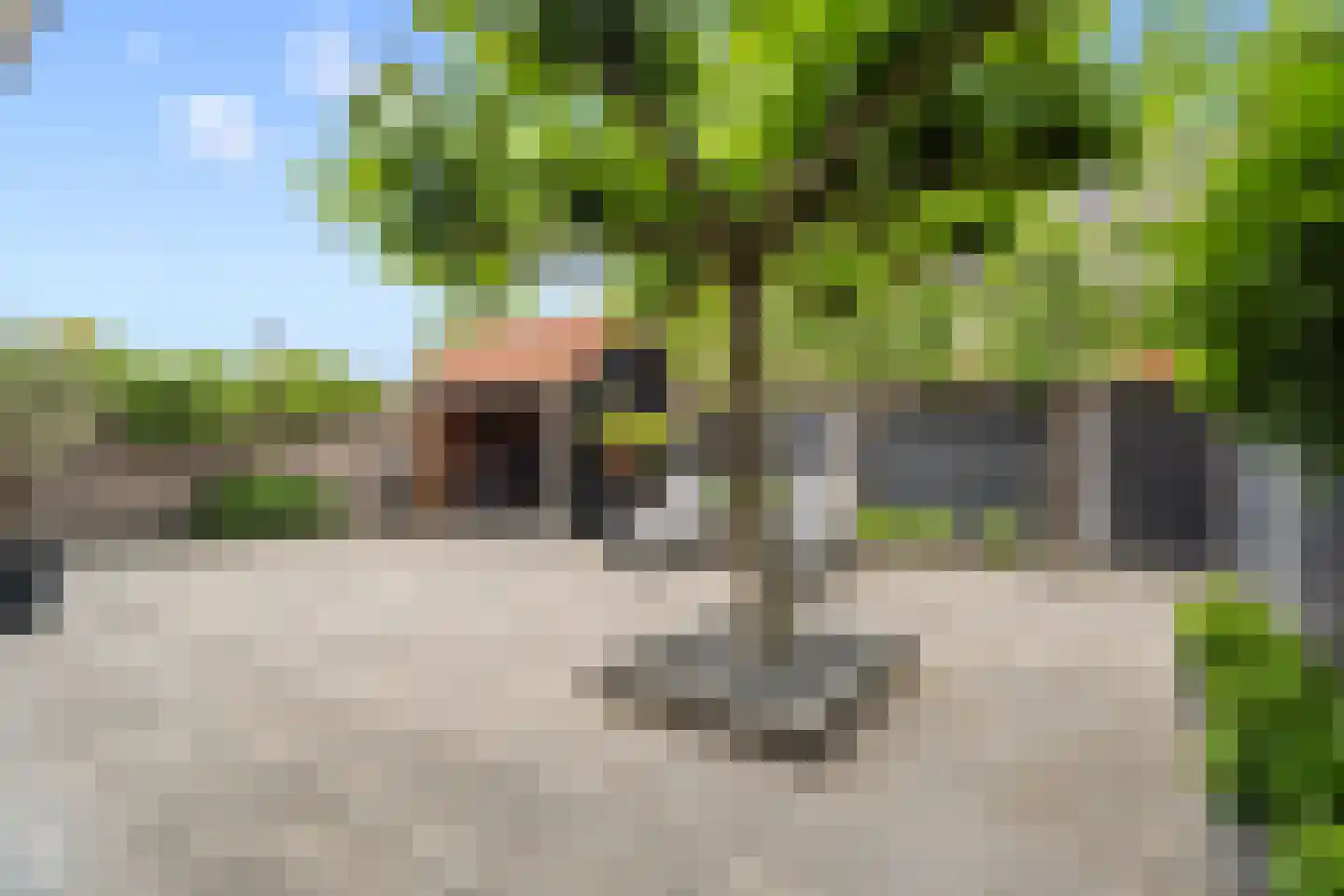Vlinderlaan 43 Nijkerk thumbnail 40