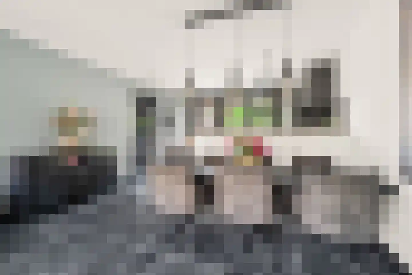 Vlinderlaan 43 Nijkerk thumbnail 7