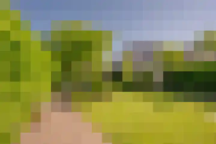 Vlinderlaan 48 Nijkerk thumbnail 10