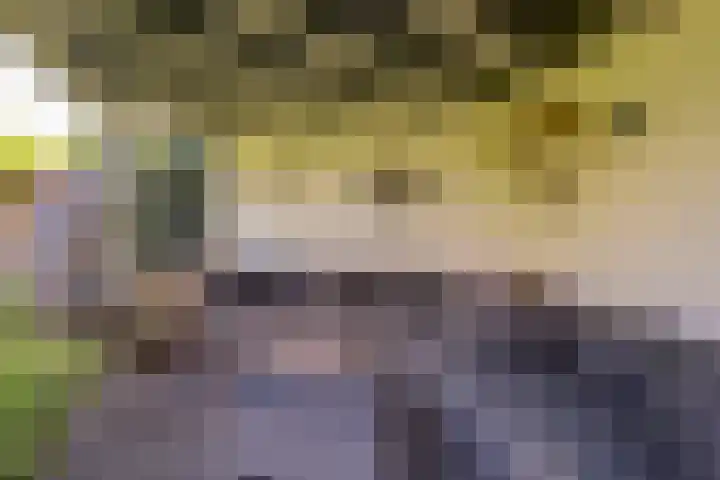 Vlinderlaan 48 Nijkerk thumbnail 11