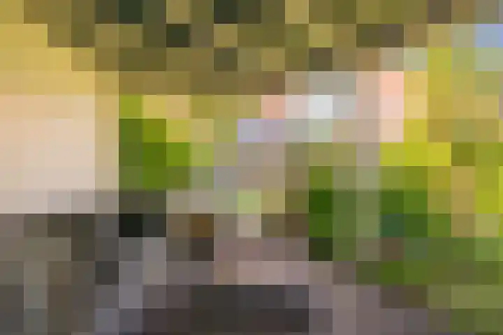 Vlinderlaan 48 Nijkerk thumbnail 12