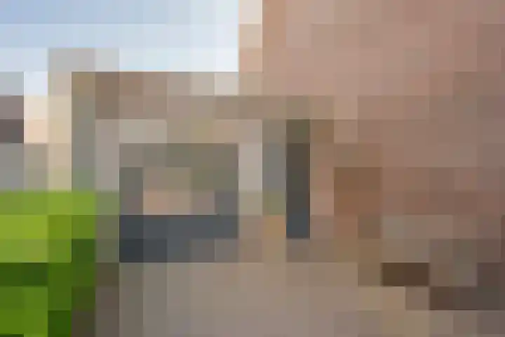 Vlinderlaan 48 Nijkerk thumbnail 14