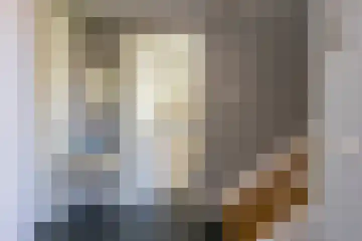 Vlinderlaan 48 Nijkerk thumbnail 16
