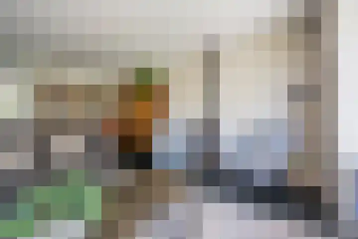 Vlinderlaan 48 Nijkerk thumbnail 18