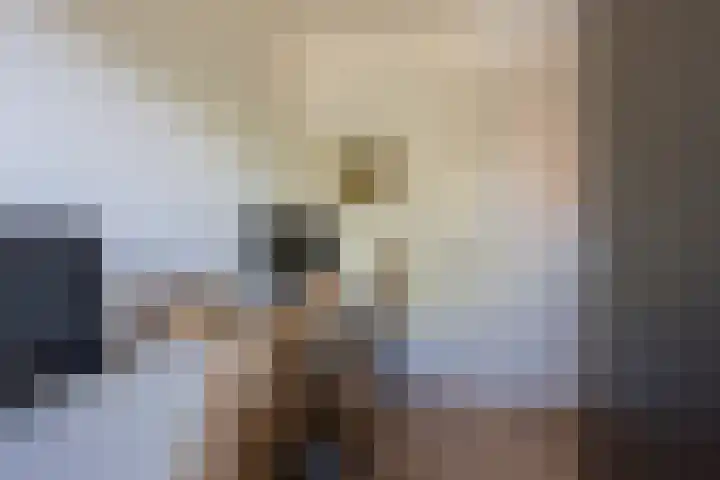 Vlinderlaan 48 Nijkerk thumbnail 32