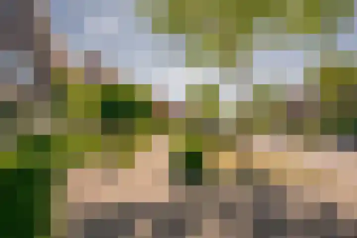 Vlinderlaan 48 Nijkerk thumbnail 4
