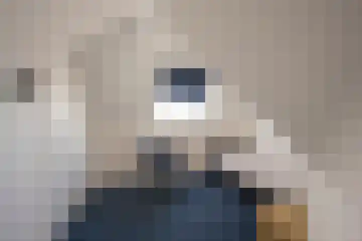 Vlinderlaan 48 Nijkerk thumbnail 44