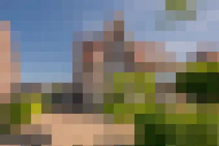 Vlinderlaan 48 Nijkerk thumbnail 5