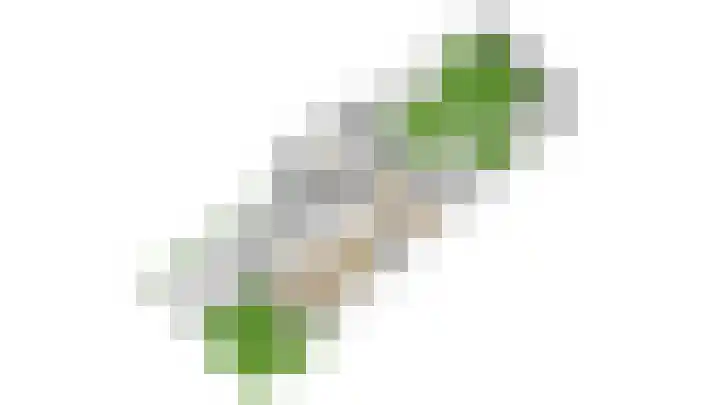 Vlinderlaan 48 Nijkerk thumbnail 59