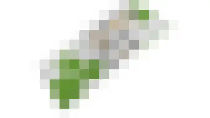 Vlinderlaan 48 Nijkerk thumbnail 59