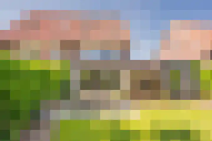 Vlinderlaan 48 Nijkerk thumbnail 8