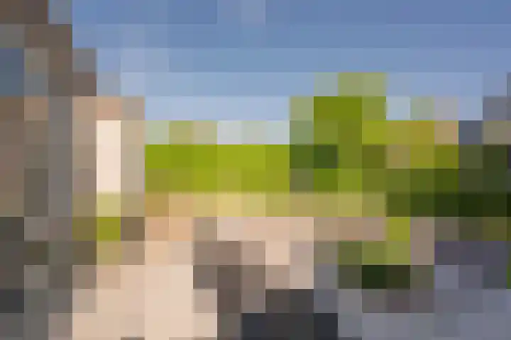 Vlinderlaan 48 Nijkerk thumbnail 9