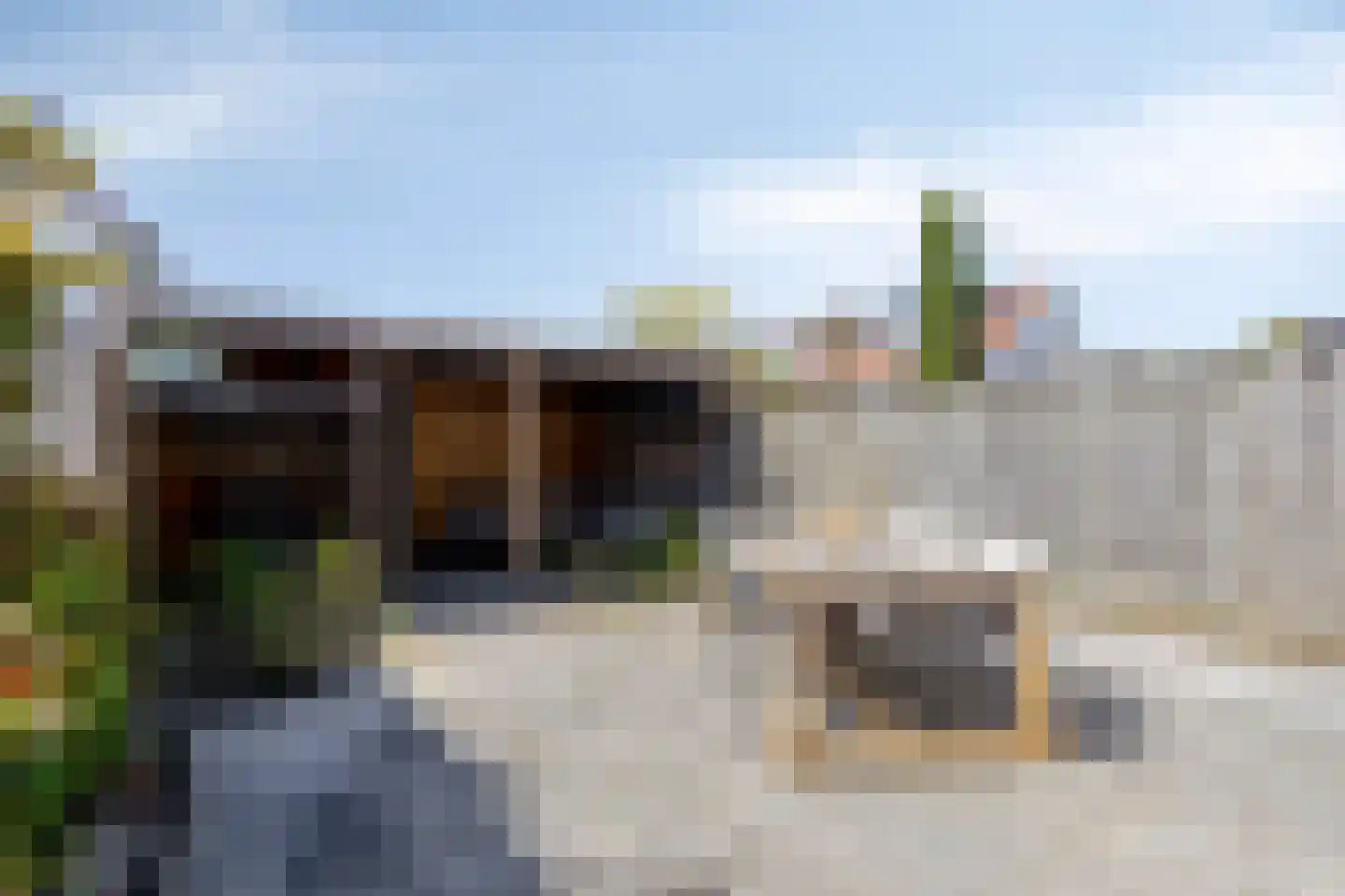 Vlinderlaan 53 Rosmalen thumbnail 8