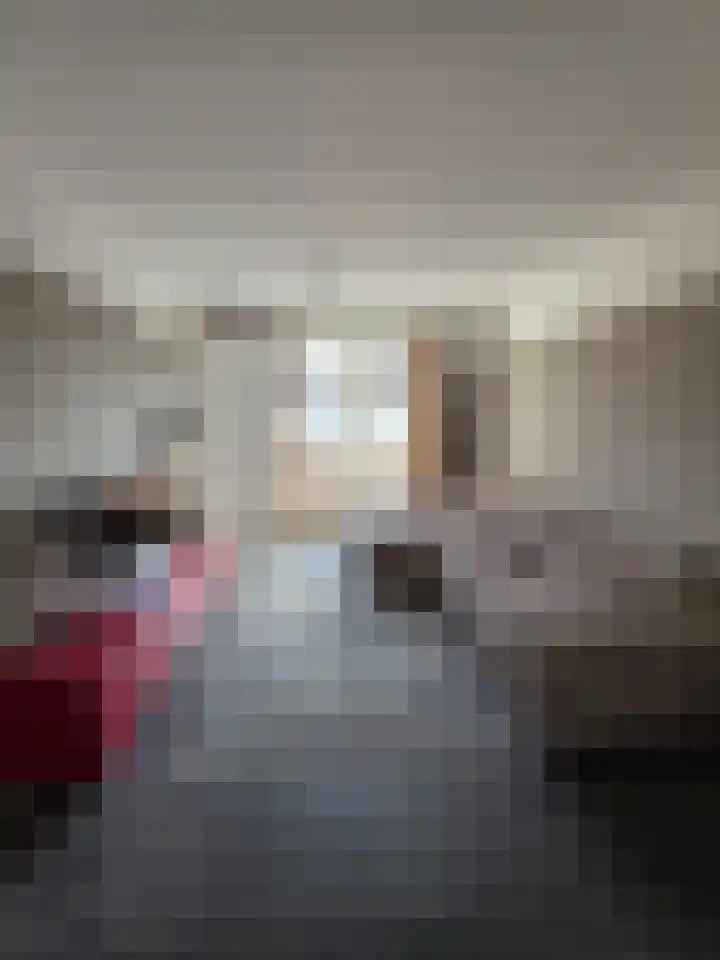 Vlinderlaan 57 Mierlo thumbnail 13