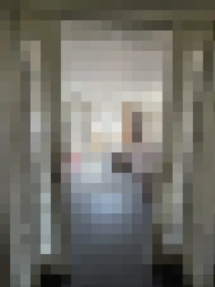 Vlinderlaan 57 Mierlo thumbnail 14