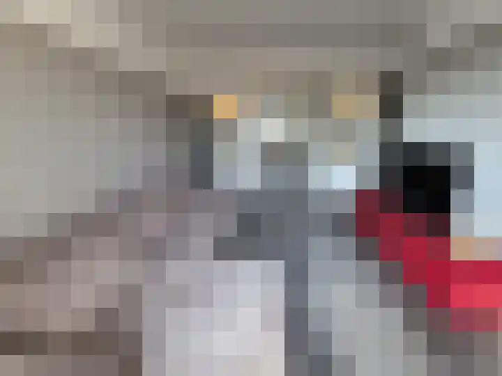 Vlinderlaan 57 Mierlo thumbnail 15