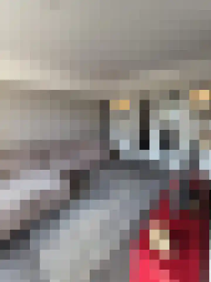 Vlinderlaan 57 Mierlo thumbnail 16