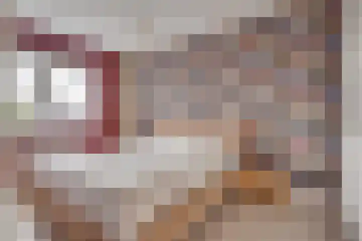 Vlinderlaan 57 Mierlo thumbnail 25