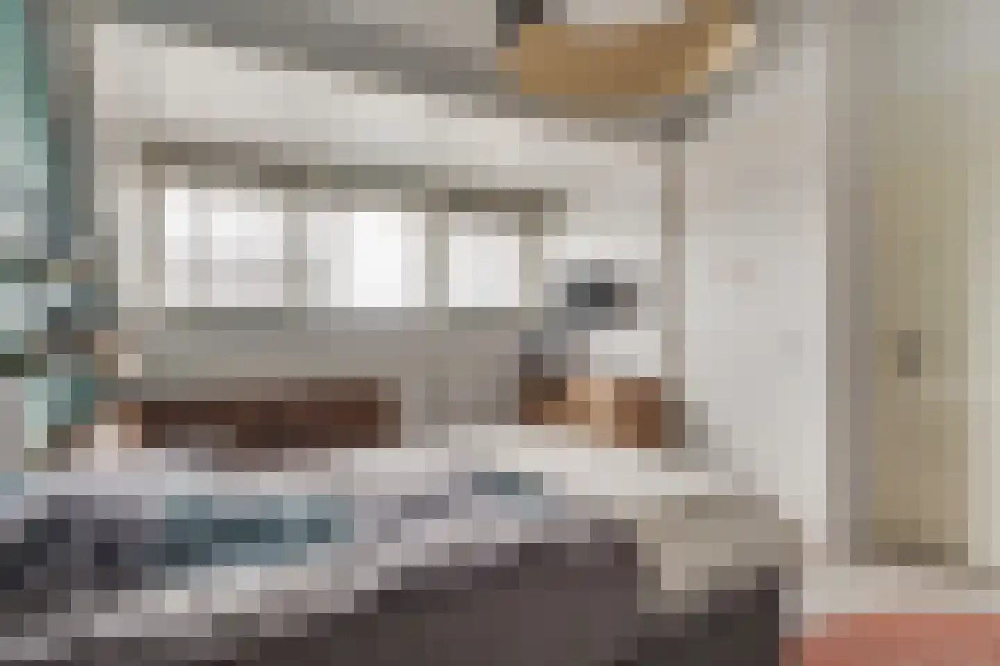 Vlinderlaan 57 Mierlo thumbnail 34