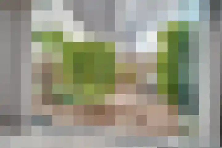 Vlinderlaan 57 Mierlo thumbnail 38