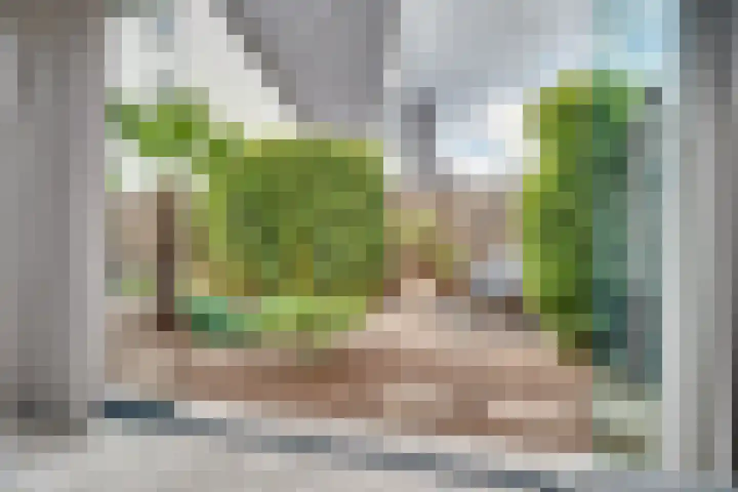 Vlinderlaan 57 Mierlo thumbnail 38