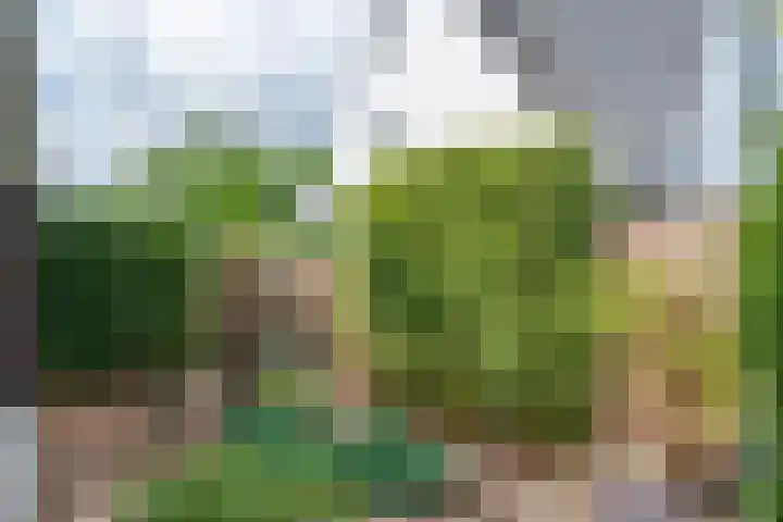 Vlinderlaan 57 Mierlo thumbnail 39