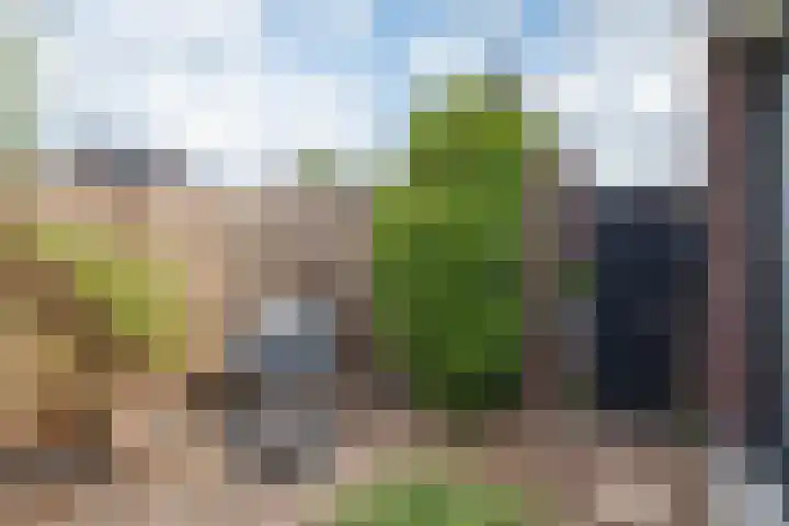Vlinderlaan 57 Mierlo thumbnail 40