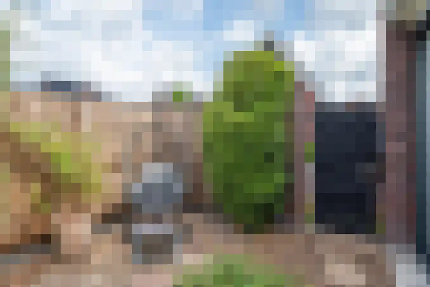 Vlinderlaan 57 Mierlo thumbnail 40