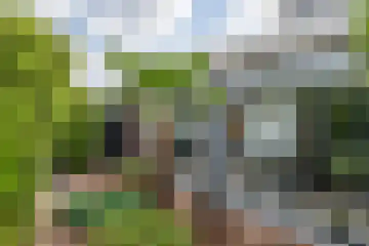 Vlinderlaan 57 Mierlo thumbnail 41