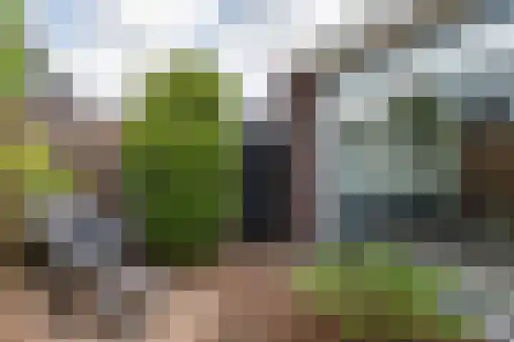 Vlinderlaan 57 Mierlo thumbnail 42